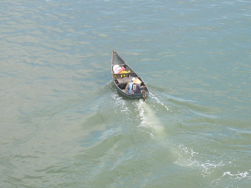 IMG_8650.jpg