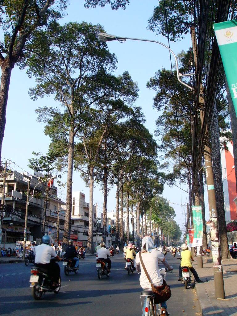 SANY0478.jpg