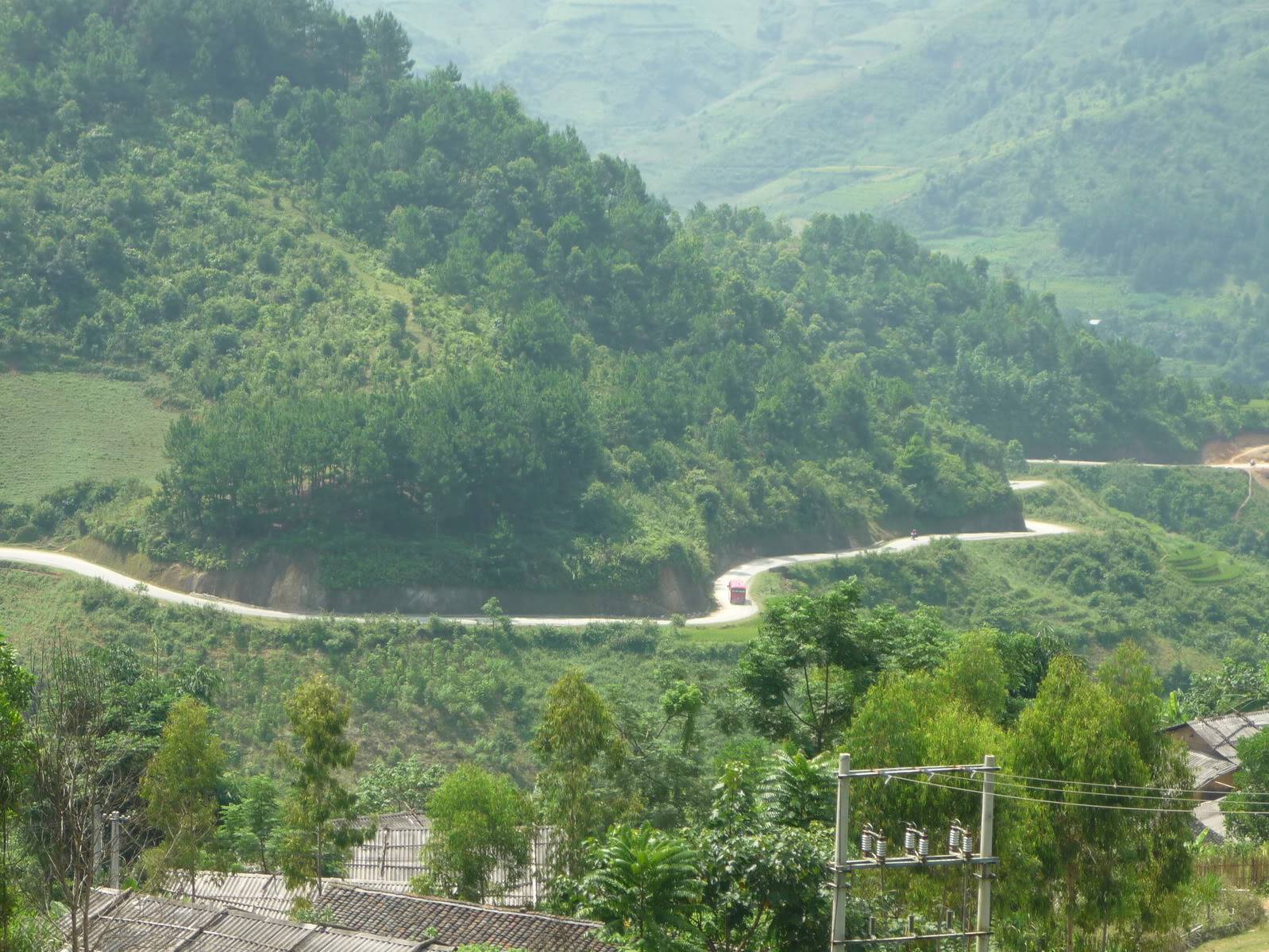 P1090698.jpg