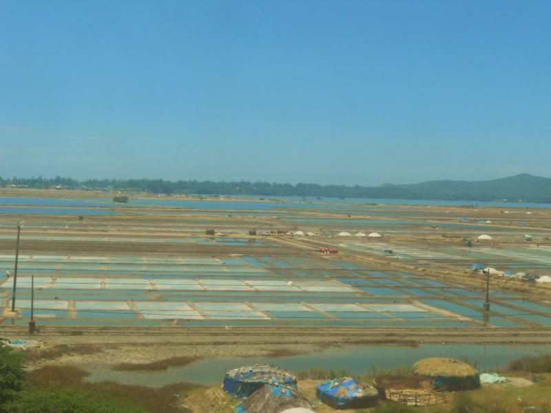 DSCN2638.jpg