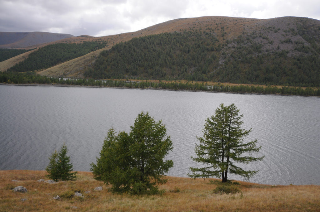 22214566979_c9302e01cf_b.jpg
