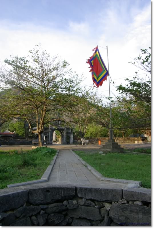 denthaivi3of9.jpg