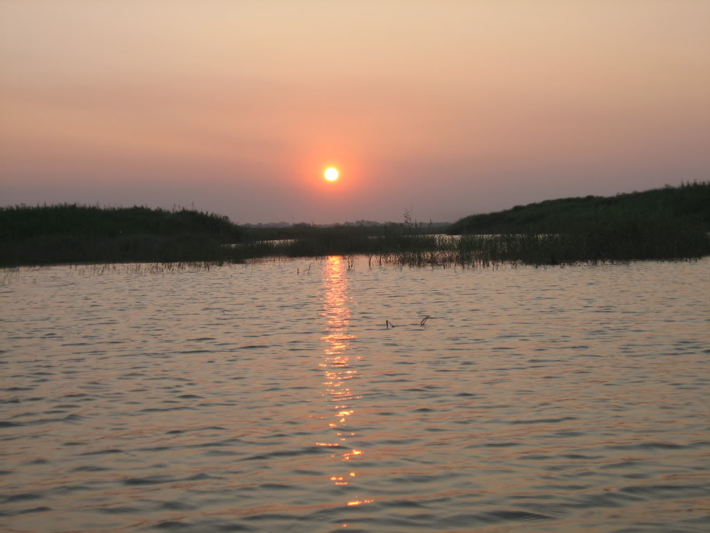 IMG_0646.jpg