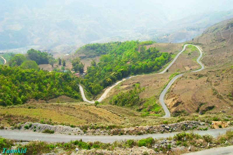 SDC16556.jpg