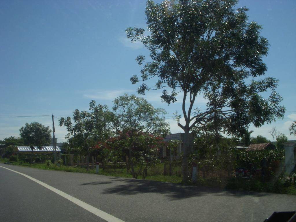 DSCN3752_zpsc8b5e2cb.jpg
