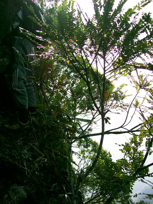 100_2081.jpg