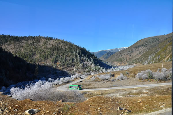 shangri-la203.jpg