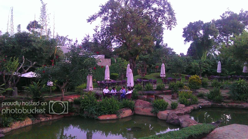 IMAG0873.jpg