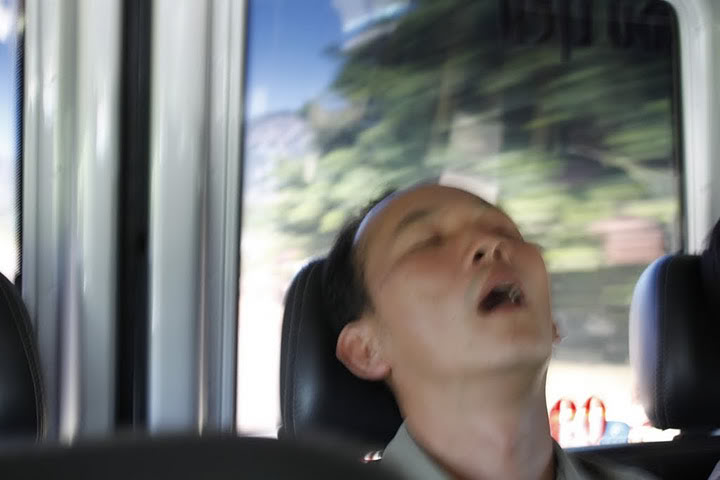 _MG_1529.jpg
