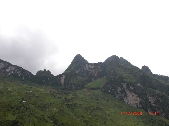 CIMG0599.jpg