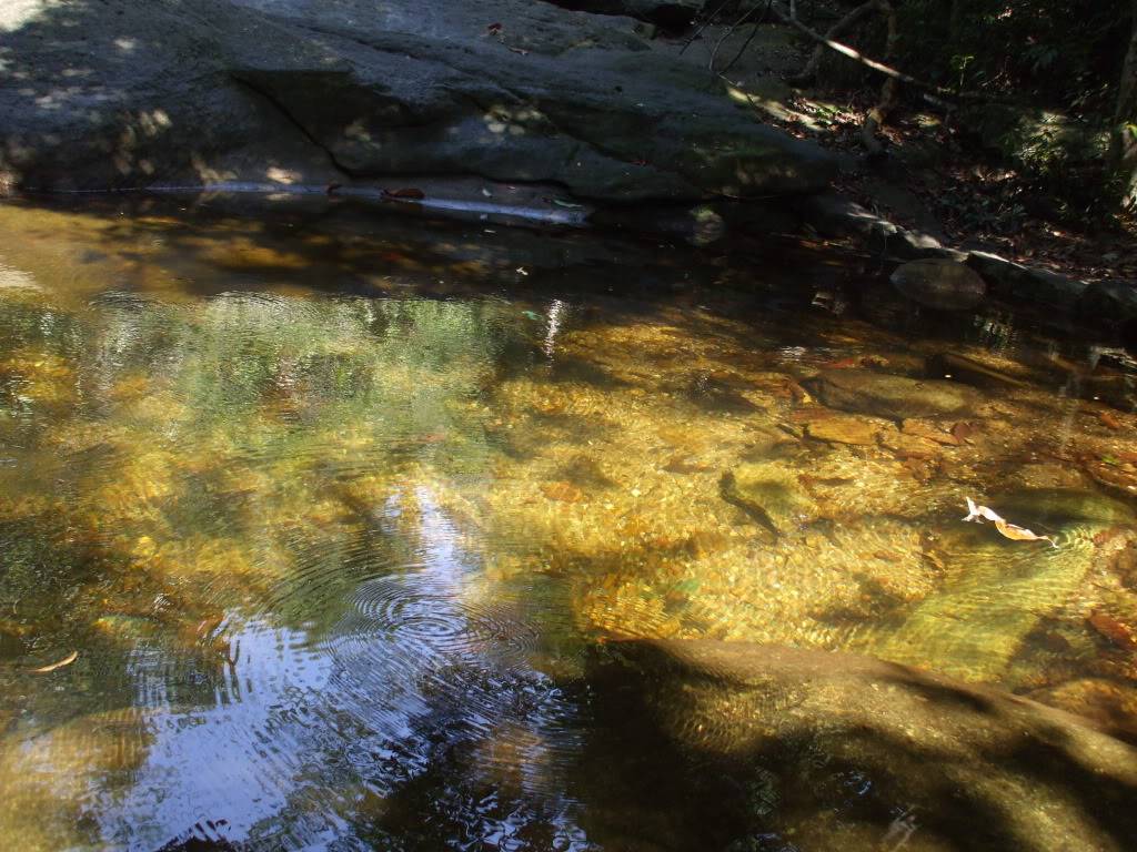 DSCF5102.jpg