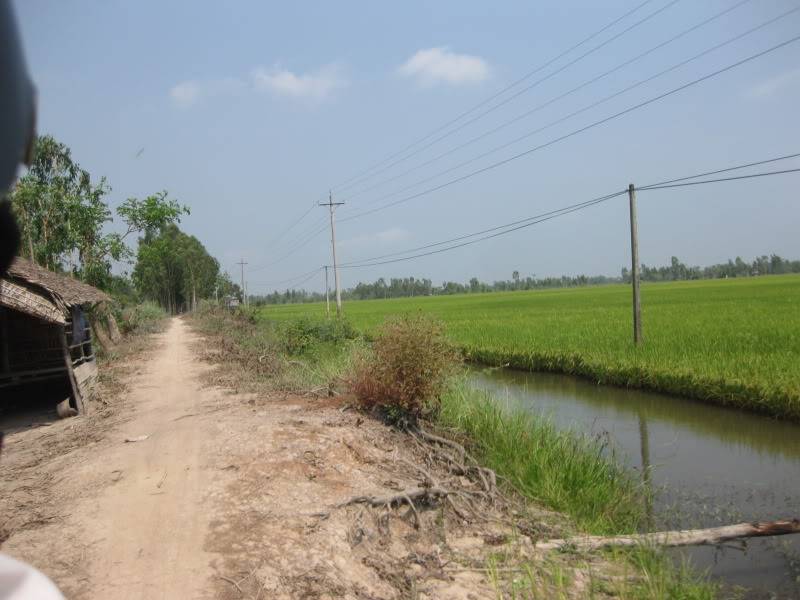 DongThapTET2011365.jpg