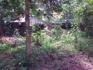 IMG0027A.jpg