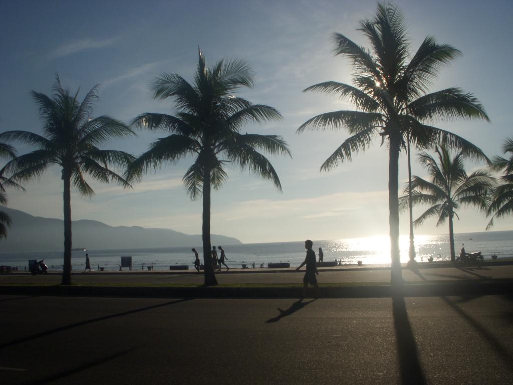 DSCN5231_zps2a7b3ff5.jpg