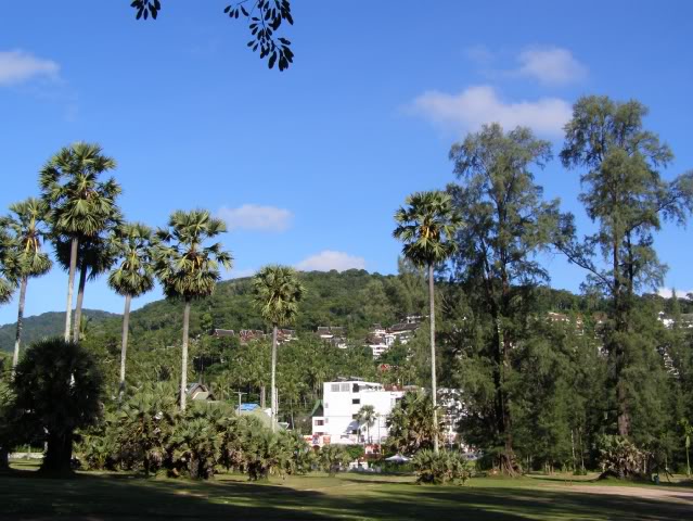 P7110353.jpg