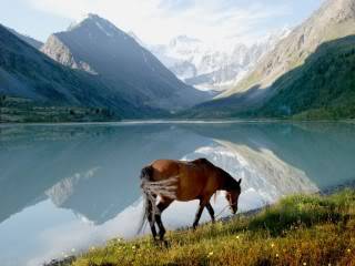 altai_lake.jpg