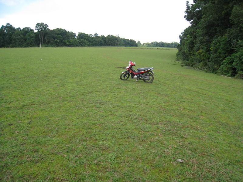 IMG_7263_resize.jpg