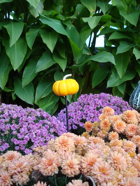 DSC05021.jpg