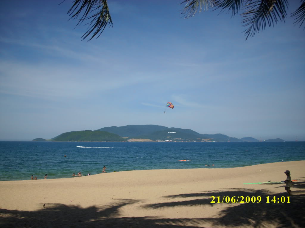IMG_2446.jpg
