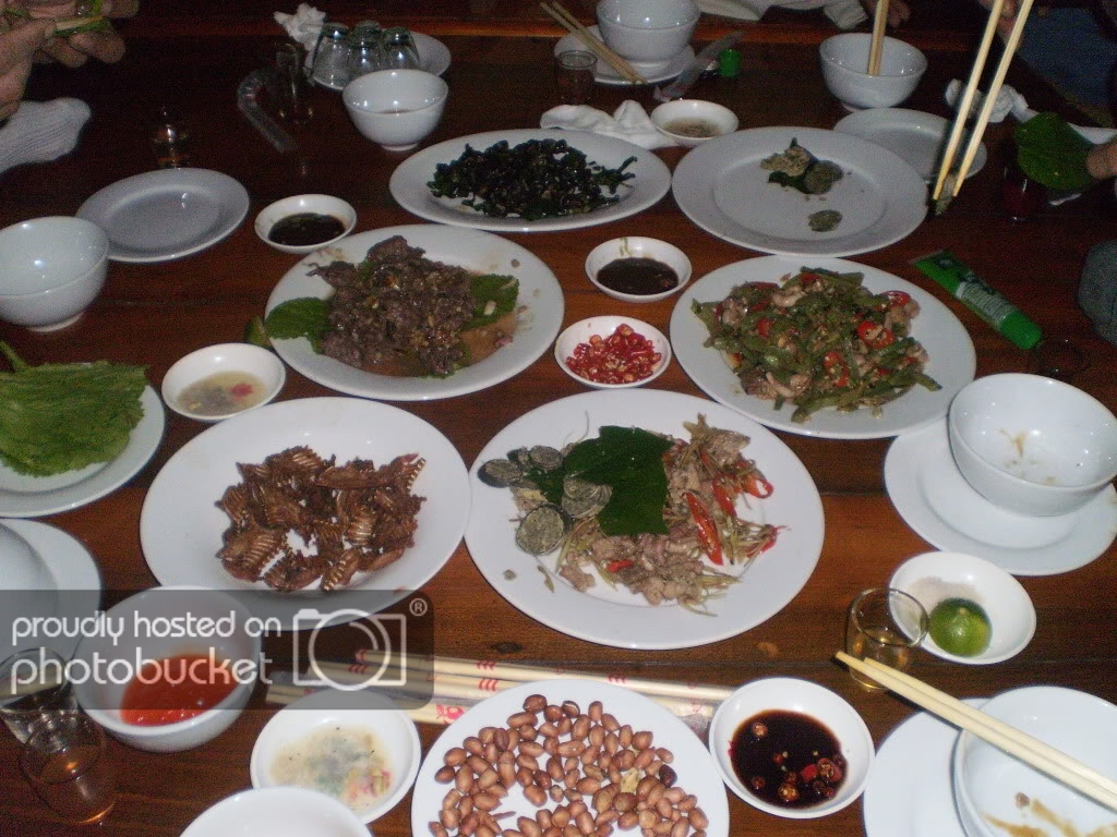 P1011302.jpg