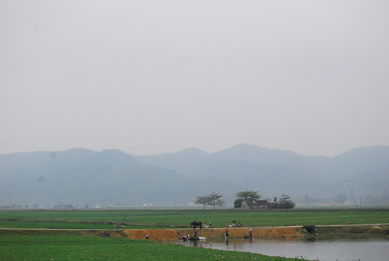dsc7003.jpg