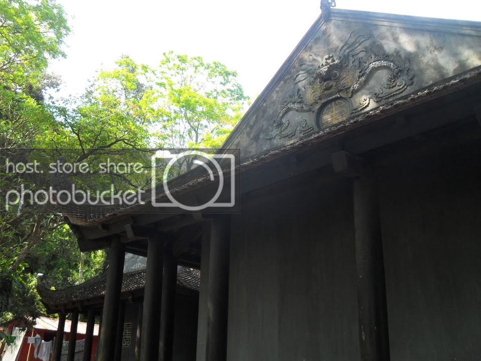 SDC14664.jpg