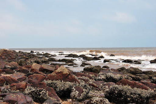 DSC_2894.JPG