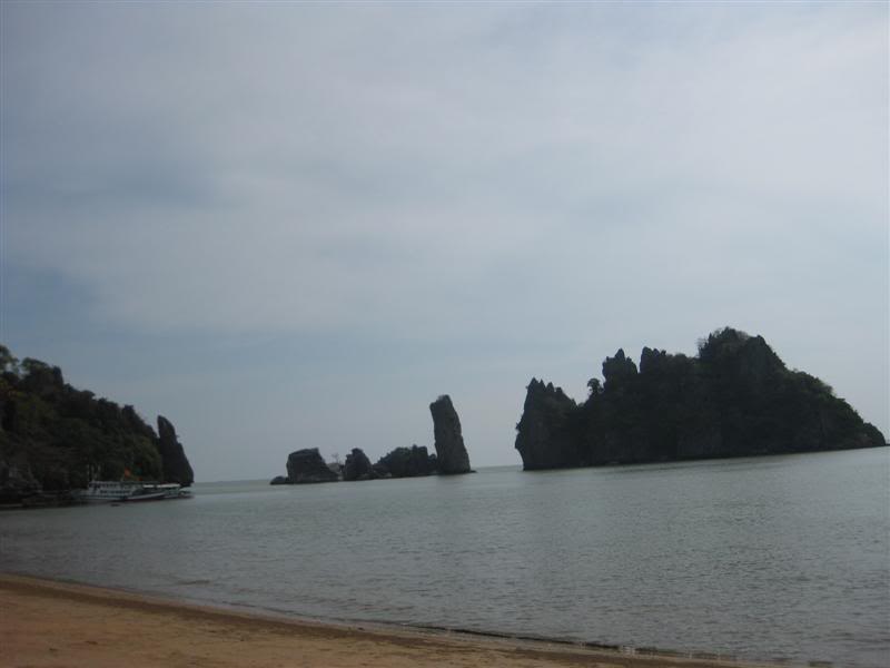 IMG_2394Medium.jpg