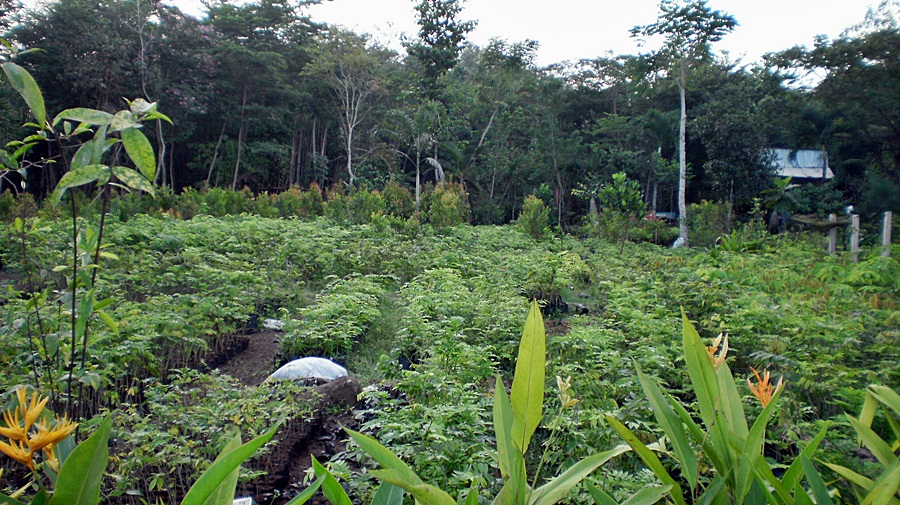 11_zpsff0558db.jpg