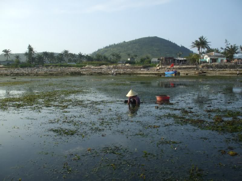 DSCF7081.jpg