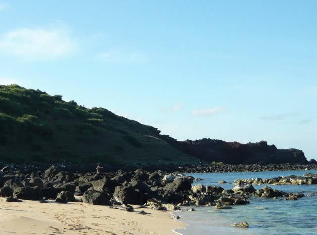 P1020206_resize-1.jpg