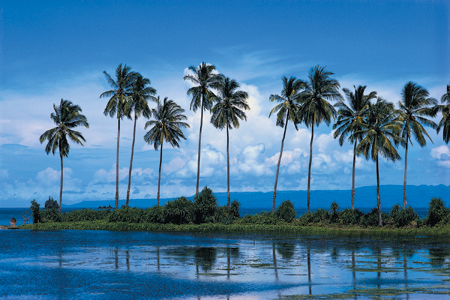 bali_lombok_overland.jpg