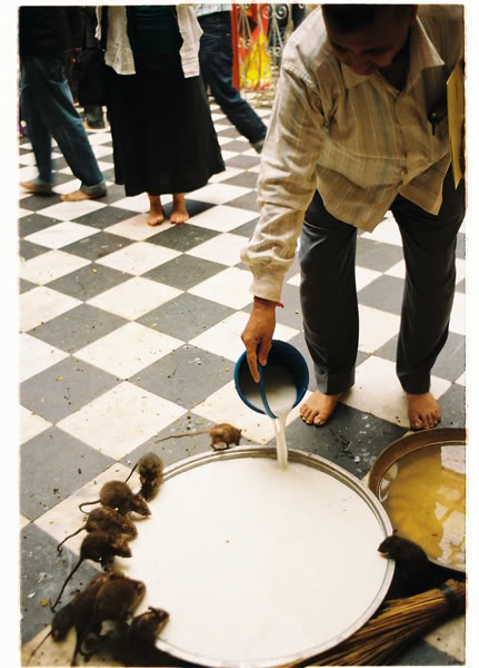 Deshnok606.jpg