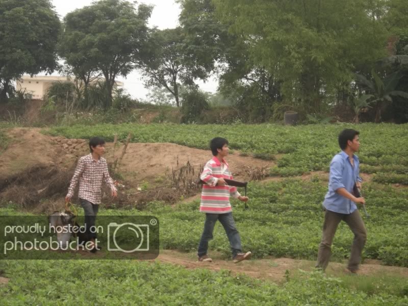 Banchim800x600.jpg