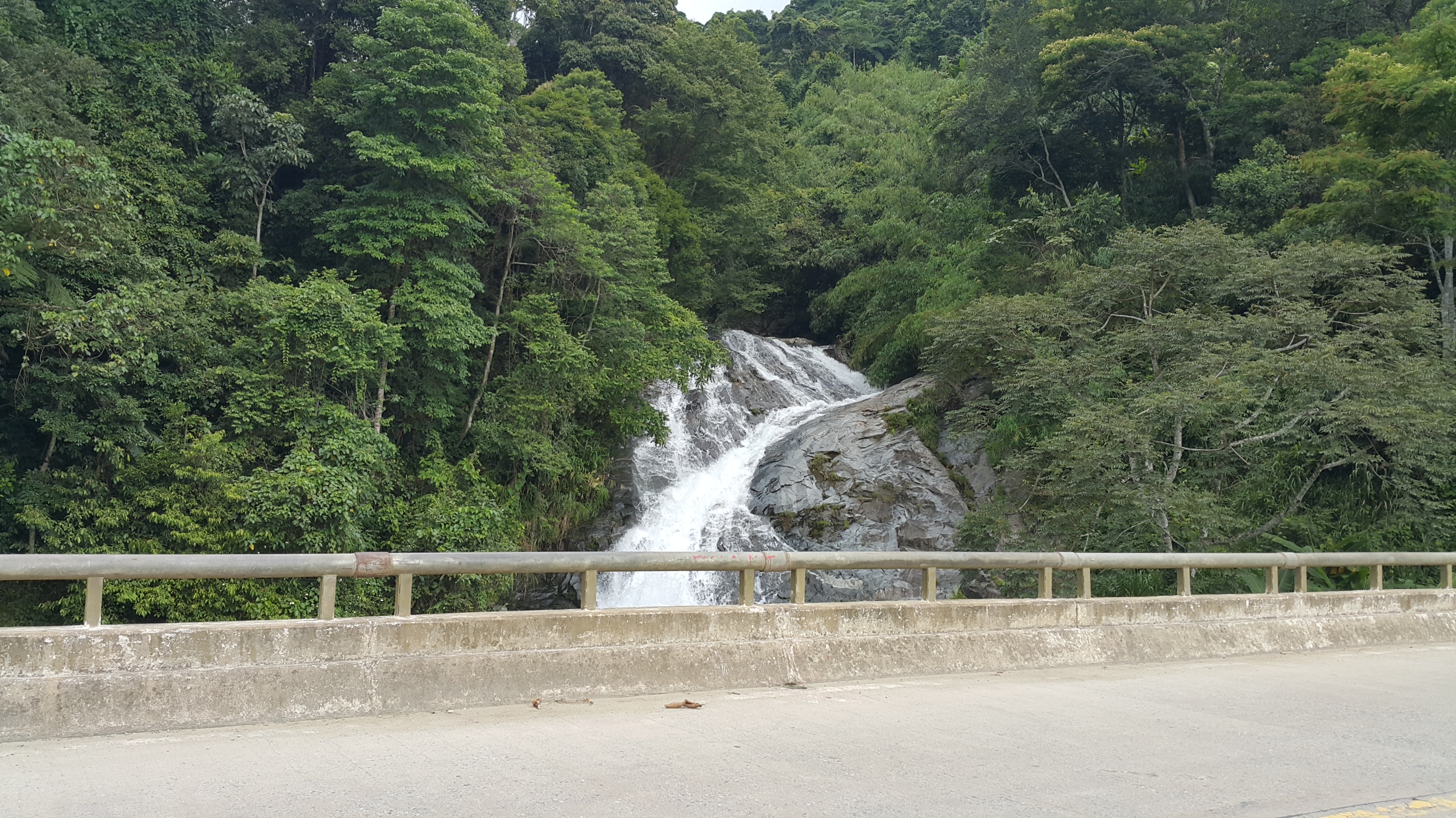 20170616_091902.jpg