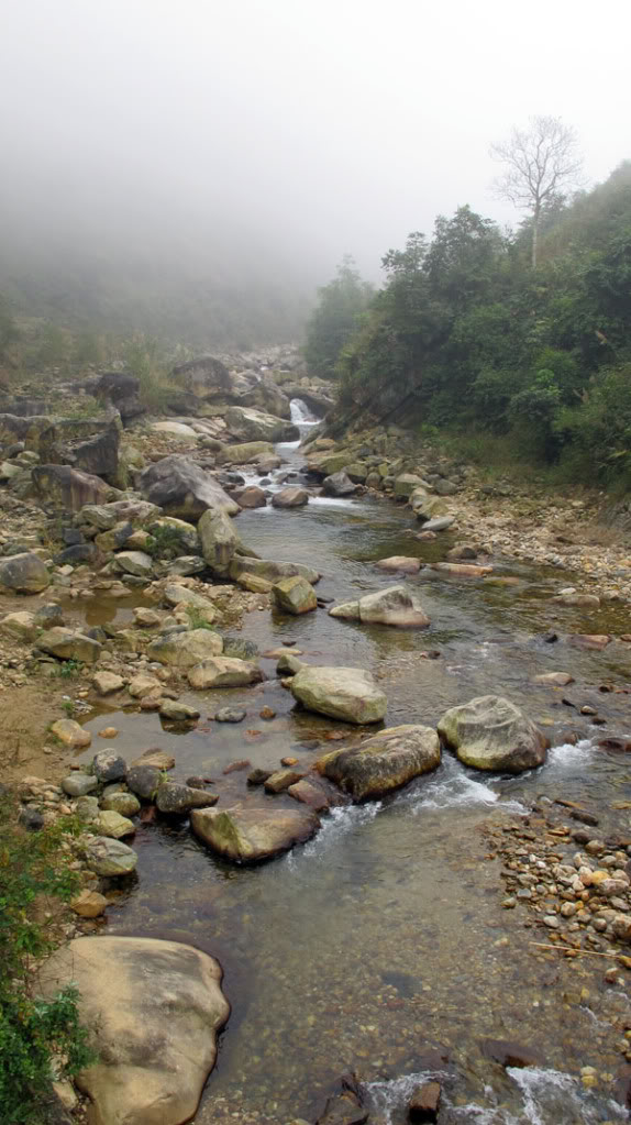 HongNgai2011339.jpg