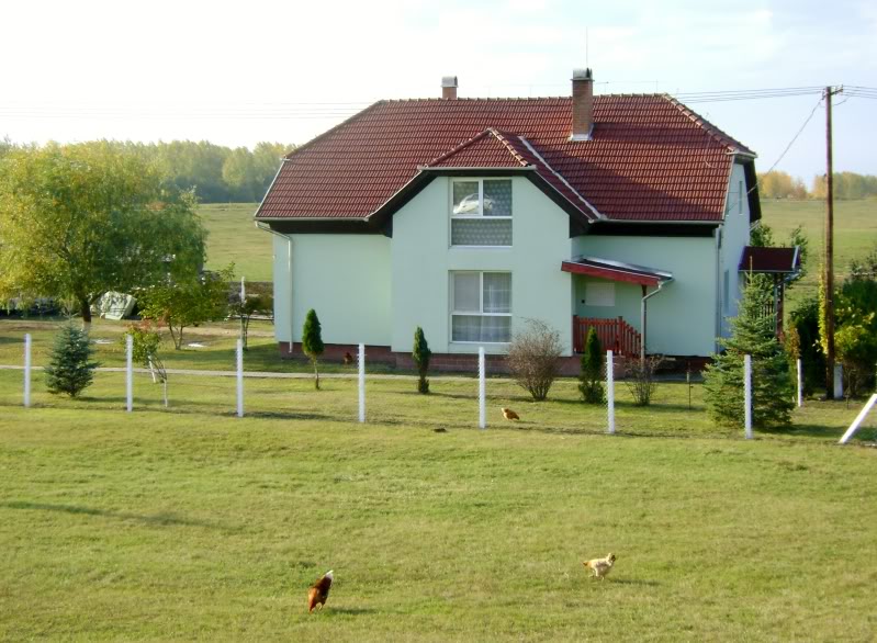 DSC06600.jpg