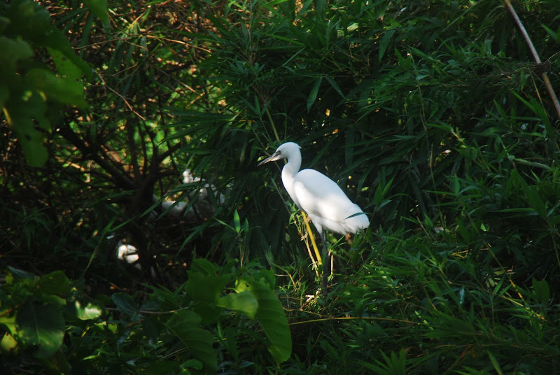 DSC_1072.JPG