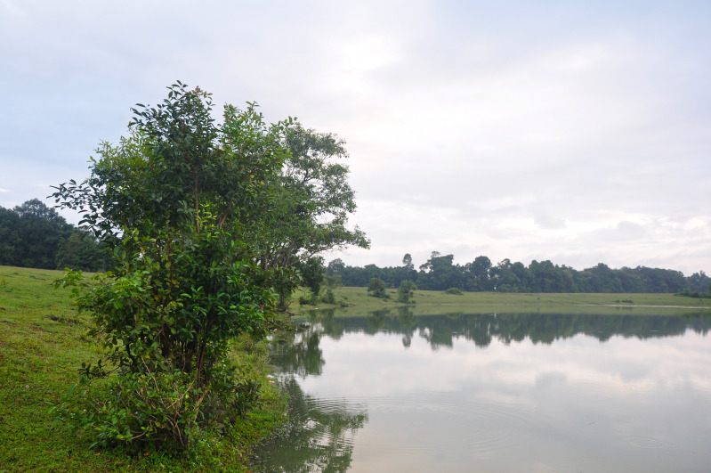 DSC_1404.jpg