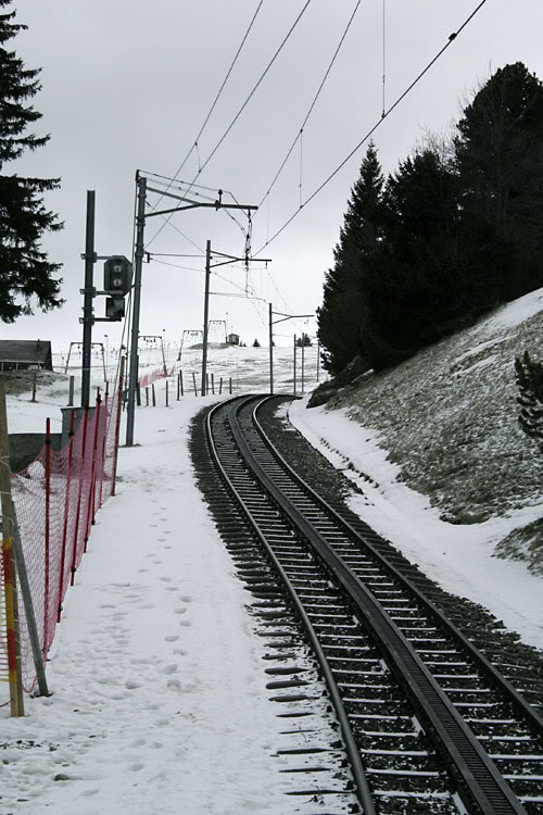 _MG_6715.jpg
