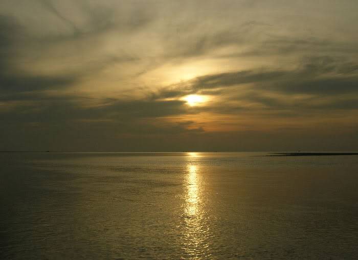 DSCN1028.jpg