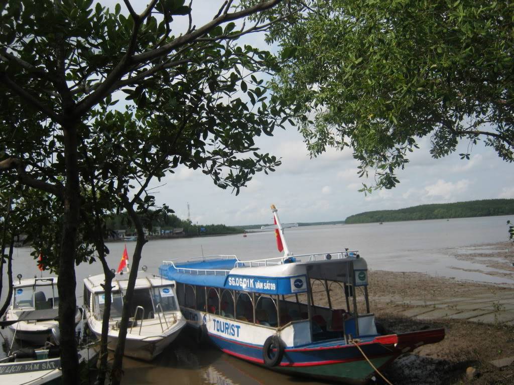 IMG_8501.jpg