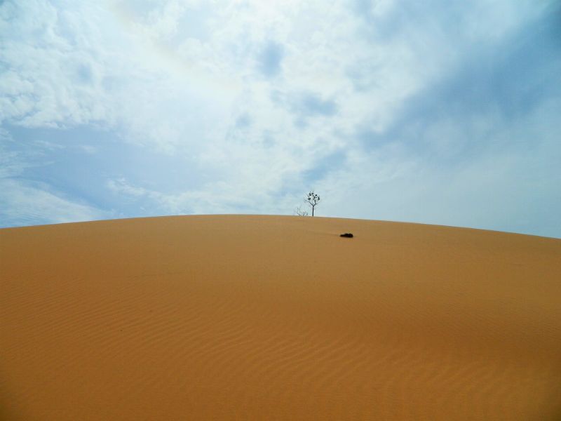 DSCN2120.jpg
