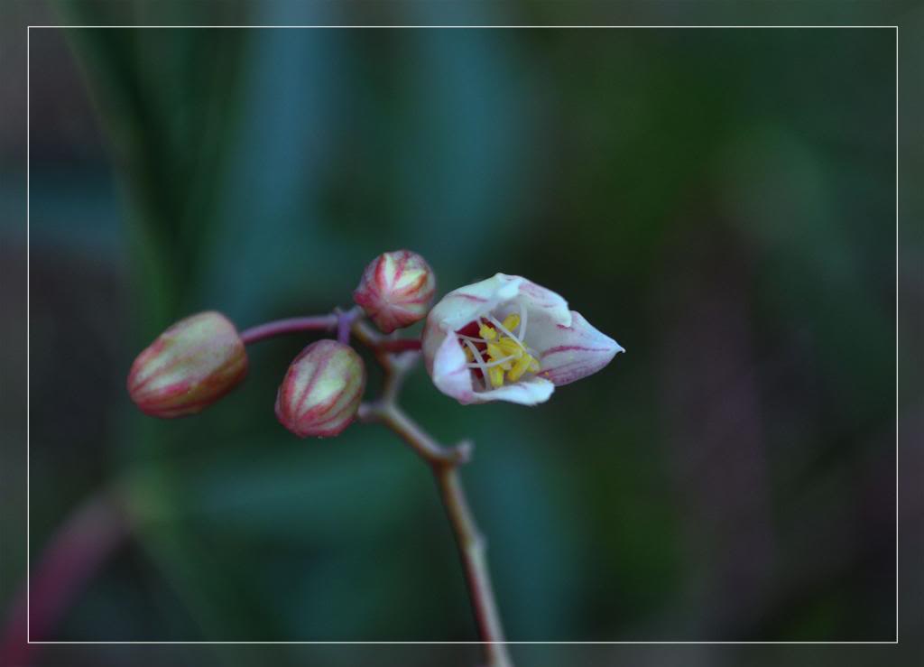 Untitled-1_zps8af00d08.jpg