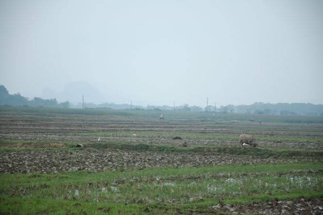 DSC_4149.jpg