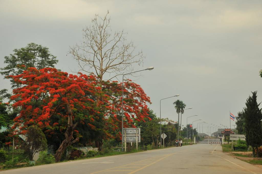 DSC_1071.jpg