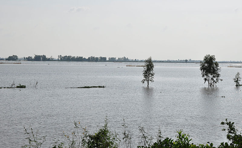 DSC_5680.jpg