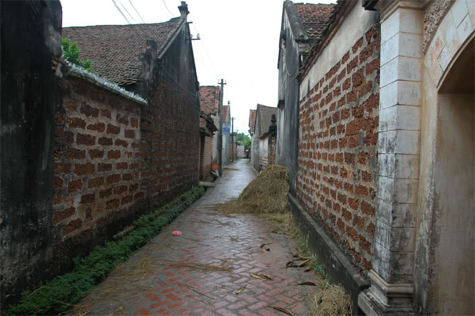 DSC_2345.jpg