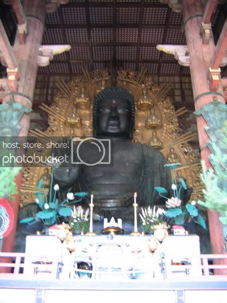 IMG_0697_resize.jpg