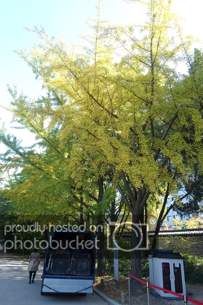 DSC01763_zps0cb2vz0e.jpg